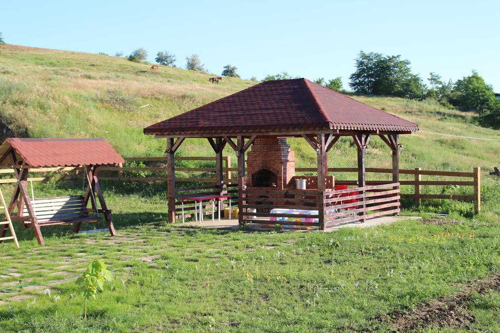 Pensiunea Fery Slobozia-Oancea Exterior photo